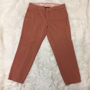 J crew chino pant sz 6